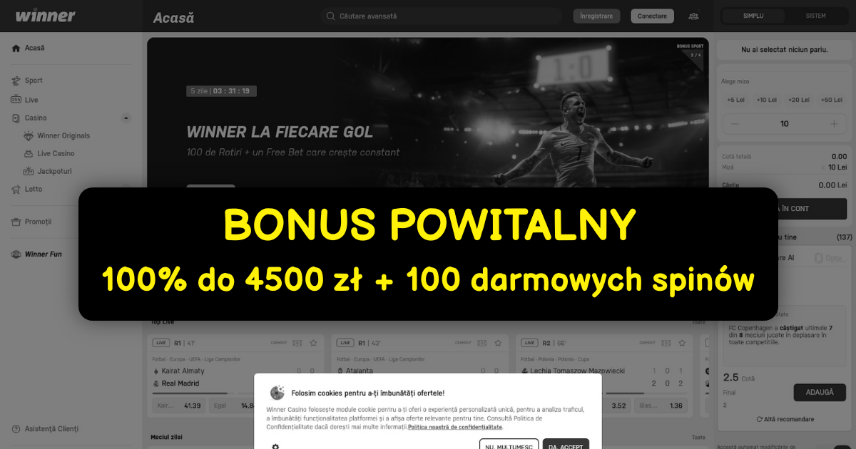 Winner Casino - Top Sloty Online | Oficjalna Polska