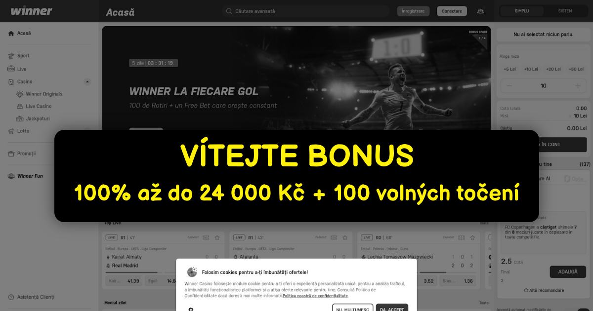 Winner Casino - Prémiové Online Sloty | Oficiální CZ